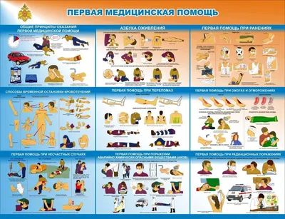 Тренировка (квест) по оказанию первой помощи - УЦМЧС.РФ