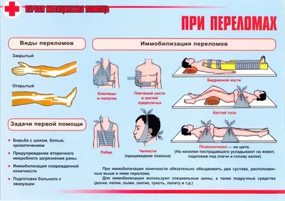 Плакат первая медицинская помощь для детей (38 фото) » Уникальные и  креативные картинки для различных целей - 