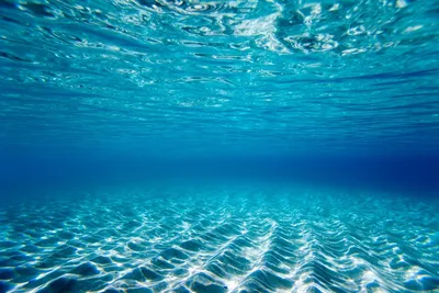 Под водой, океан, сокровища, красиво…» — создано в Шедевруме