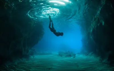 Картинки океана под водой - фото и картинки: 60 штук