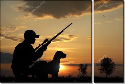 Купить картину по номерам 40х50 GX5779 «Охотник и собака» на 