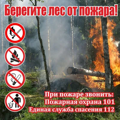 В Калужской области стартовал конкурс рисунков «Охрана лесов от пожаров»