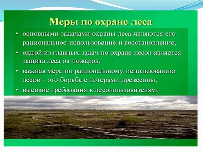 Охрана и защита лесов от пожаров, загрязнения, вырубки, вредителей и  болезней