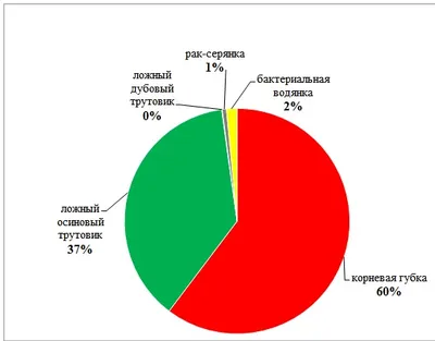 Охрана леса от пожаров стала климатическим проектом - Экология производства  | Новости экологии