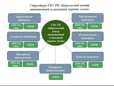 АНО "Охрана леса" 2024 | ВКонтакте