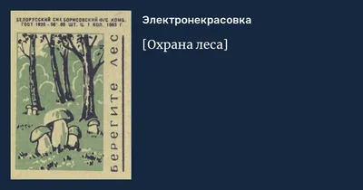 Охранять или защищать лес? – тема научной статьи по праву читайте бесплатно  текст научно-исследовательской работы в электронной библиотеке КиберЛенинка