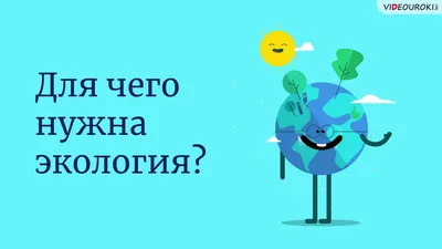 Подведены итоги творческого конкурса «Экология глазами детей»