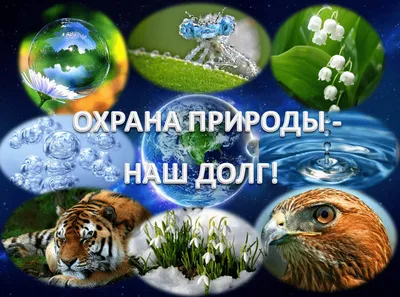 Буклет для родителей «Берегите природу» (2 фото). Воспитателям детских  садов, школьным учителям и педагогам - Маам.ру