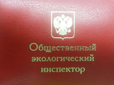 Движение в защиту окружающей среды — Википедия