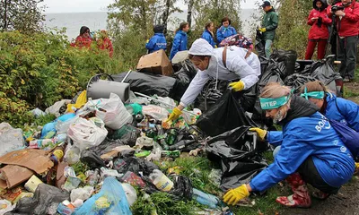 Почва, воздух и вода: охрана природы объединяет людей, государство и бизнес  | Национальные проекты России