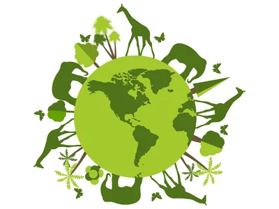 Экология и охрана природы – Иннотер