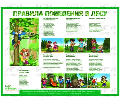 Фото-коллажи "Охрана окружающей среды"