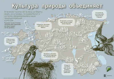 Оригинальный плакат СССР охрана природы окружающей среды экология 1985