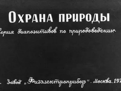 Эмблемы охраны природы. руки с голубем, планетой, сердцем, цветком. охрана  окружающей среды. символы эко. | Премиум векторы