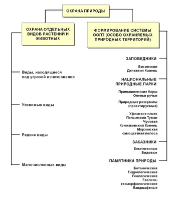 МБУК РГЦБС - Международный месячник охраны природы