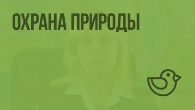 Охрана природы |