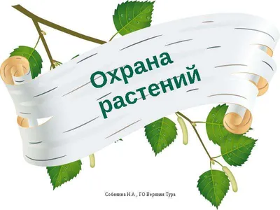 Охрана растений - презентация онлайн