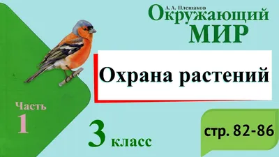 Охрана растений и животных — МБУ ДО ЭЦ ЭкоСфера г. Липецка