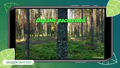 Облако знаний. Охрана растений. Биология. 7 класс