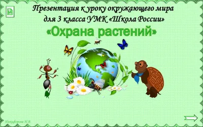 Презентация на тему: "Охрана растений Находясь в природе, нельзя срывать  растения для букетов. Букеты можно составлять только из тех растений,  которые выращены человеком. Собирать.". Скачать бесплатно и без регистрации.