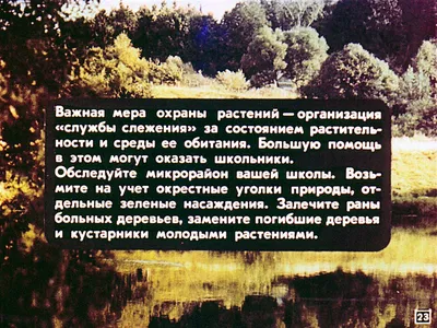 Охрана растений рисунок - 80 фото