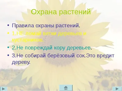 Презентация на тему: "ПРЕЗЕНТАЦИЯ к уроку «Окружающий мир» для 3 класса  Тема: «Охрана растений» Автор: учитель начальных классов Н.А.Мамаева.".  Скачать бесплатно и без регистрации.