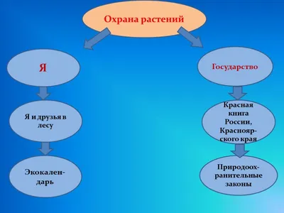 Редкие виды сосудистых растений на особо охраняемых природных территориях  Магаданской области – тема научной статьи по биологическим наукам читайте  бесплатно текст научно-исследовательской работы в электронной библиотеке  КиберЛенинка