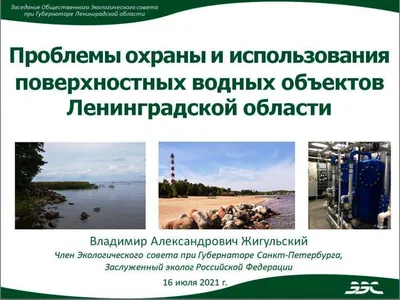 Проблемы охраны и использования поверхностных водных объектов Ленинградской  области | Общество и Экология
