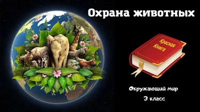 Охрана животных. Окружающий мир. 3 класс, 1 часть. Учебник А. Плешаков стр.  106-111 - YouTube