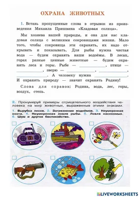 Охрана животных interactive worksheet | Live Worksheets