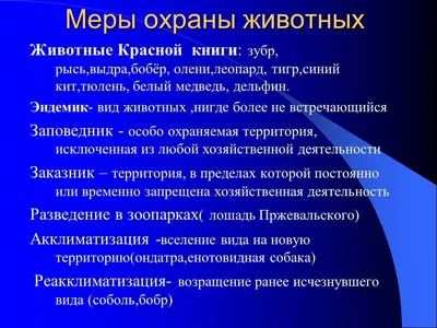 Плакат с элементами аппликации «Берегите Животных!». Фото № 324508. Октябрь  2023. Конкурс «Экология планеты». Воспитателям детских садов, школьным  учителям и педагогам - Маам.ру