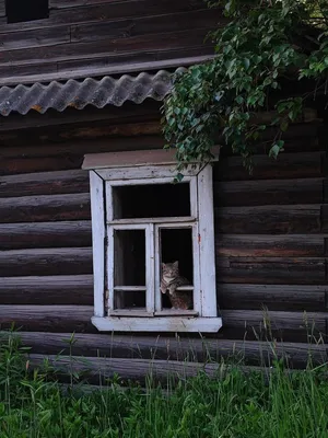 Окна в дом – купить пластиковые окна для загородного дома и коттеджа