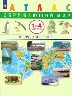 Окружающий мир. Первые занятия для малышей (Елена Янушко) - купить книгу с  доставкой в интернет-магазине «Читай-город». ISBN: 978-5-04-169421-0