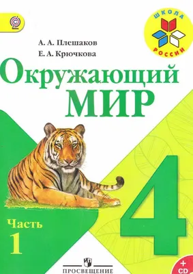 КАРТИНКИ ПЛАСТИЛИНОМ "Окружающий мир" с заданиями