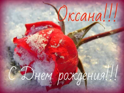 Іменні листівки з Днем Народження Оксана: анімаційні картинки, вітальні  відкритки та музичні відео-привітання Оксані на День народження українською  - Etnosoft