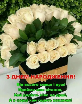 Pin by Оксана Хвостяк on З днем Народження | Fresh flowers arrangements,  Birthday wishes flowers, Flower arrangements