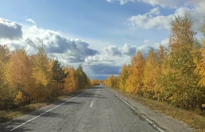 Осень, октябрь и лесные дороги (Евгений Заикин) / Проза.ру