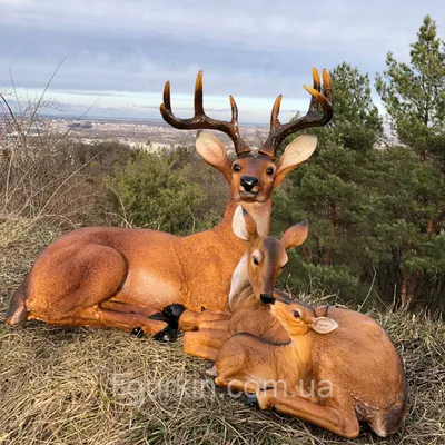 Череп оленя с рогами