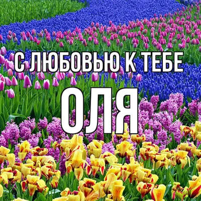 Шоколад молочный "Доброе утро" Оля подарок маме подруге сестре на 8 марта  день рождения просто так - купить с доставкой по выгодным ценам в  интернет-магазине OZON (500299060)