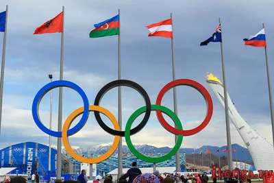 Символы олимпиады в Сочи, олимпийские болельщики и флаги - наш фотообзор -  
