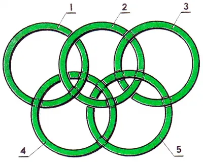 Головоломка "Олимпийские кольца" | Семейство Бородиных