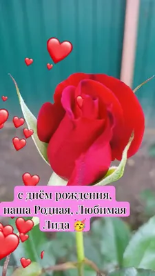 Олюшка | С днём рождения🎉🥳🎂наша Родная и Любимая Лида 🎉🥳🌹@день  рождения | Дзен