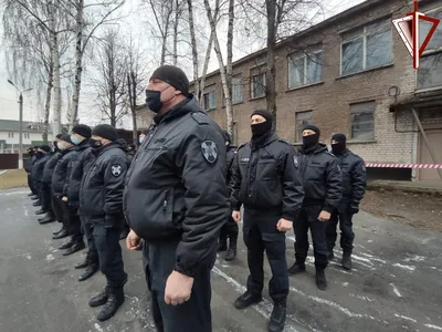 Протесты в Беларуси. ОМОН и военные против людей: около полусотни фото -  новости Украины, Мир - 