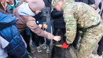 Протесты в Белоруссии: в Минске ОМОН начал брать штурмом подъезды жилых  домов и нападать на журналистов (ВИДЕО)