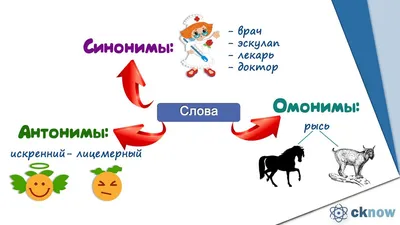 2.2 Синонимы. Антонимы. Омонимы