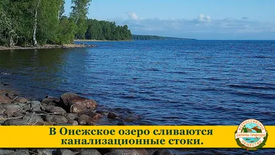 Онежское озеро, лето + прозрачная …» — создано в Шедевруме