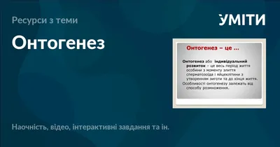 ОНТОГЕНЕЗ КОЖИ | Лицо, Химический пилинг, Верхняя губа