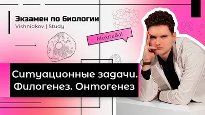 Онтогенез