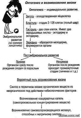 Символы согласных "поздний онтогенез" - купить с доставкой по выгодным  ценам в интернет-магазине OZON (1058642047)