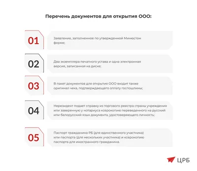 Пошаговая регистрация ООО в Беларуси в 2024 году